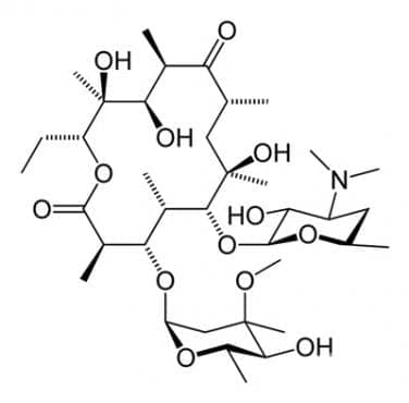еритромицин (erythromycin) | ATC J01FA01 - изображение