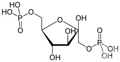  1,6- (fructose 1,6-diphosphate) | ATC C01EB07 - 