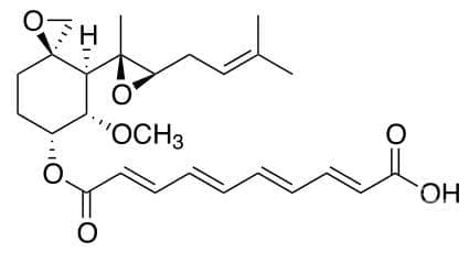  (fumagillin) | ATC P01AX10 - 