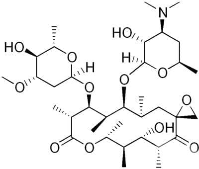  (oleandomycin) | ATC J01FA05 - 