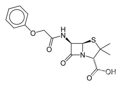  (phenoxymethylpenicillin) | ATC J01CE02 - 