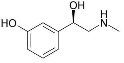  (phenylephrine) | ATC C01CA06 - 