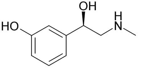  (phenylephrine) | ATC S01GA05 - 