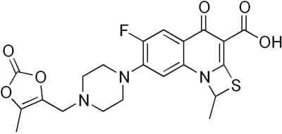 (prulifloxacin) | ATC J01MA17 - 