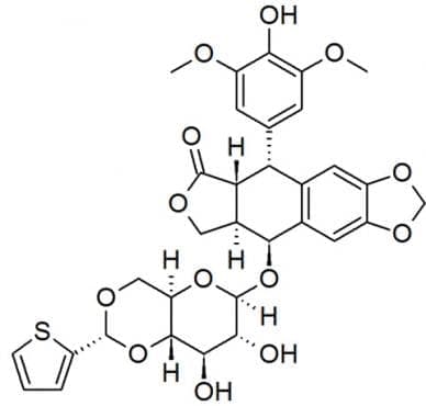  (teniposide) | ATC L01CB02 - 