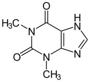  (theophylline) | ATC R03DA04 - 