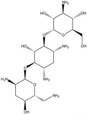  (tobramycin) | ATC J01GB01 - 