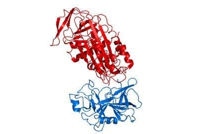 -1- (alfa1 antitrypsin) | ATC B02AB02 - 