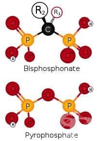 Бифосфонати (Bisphosphonates) | ATC M05BA - изображение