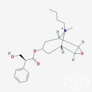  (butylscopolamine) | ATC A03BB01 - 