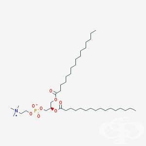   (colfosceril palmitate) | ATC R07AA01 - 