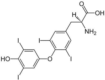  (dextrothyroxine) | ATC C10AX01 - 