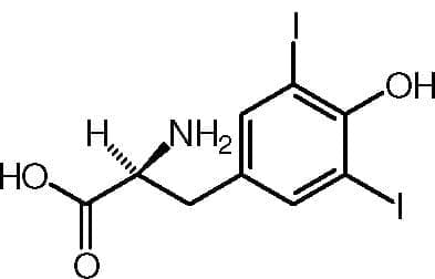  (diiodotyrosine) | ATC H03BX01 - 