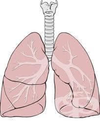        (Other respiratory system diagnostic radiopharmaceuticals) | ATC V09EX - 