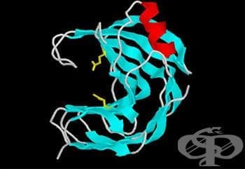     (pepsin and acid preparations) | ATC A09AC01 - 