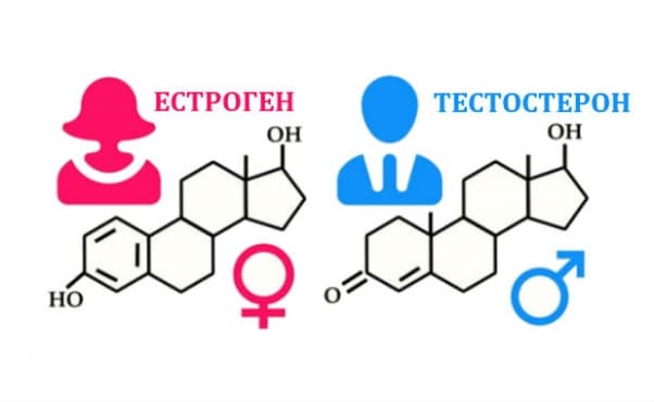    (testosterone and estrogen) | ATC G03EA02 - 