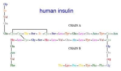  () (insulin (human)) | ATC A10AC01 - 