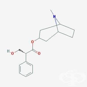  (hyoscyamine) | ATC A03BA03 - 