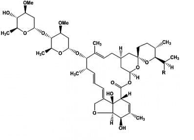  (ivermectin) | ATC D11AX22 - 