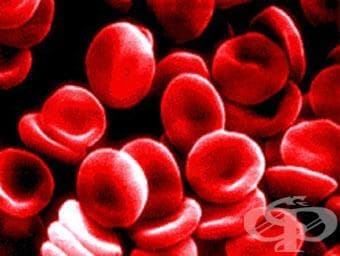   ,    (BLOOD AND RELATED PRODUCTS) | ATC B05A - 
