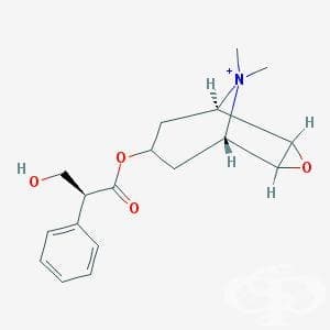  (methylscopolamine) | ATC A03BB03 - 