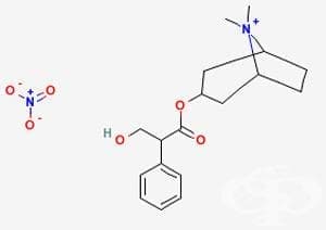  (methylatropine) | ATC A03BB02 - 