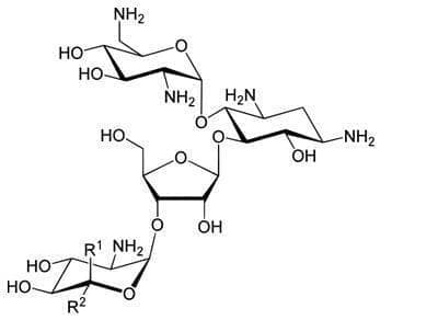  (neomycin) | ATC S03AA01 - 