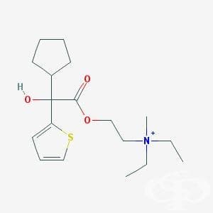  (penthienate) | ATC A03AB04 - 