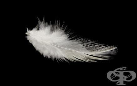   (feather) | ATC V01AA01 - 