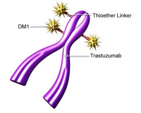   (trastuzumab emtansine) | ATC L01XC14 - 