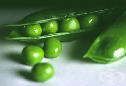 Грах - изображение