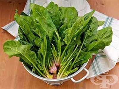 Спанак - изображение