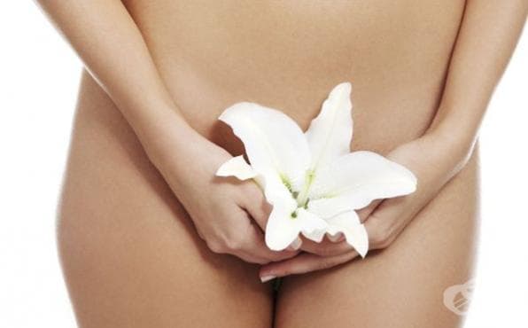 Как да стегнем отпуснатата след раждане и с възрастта вагина - изображение