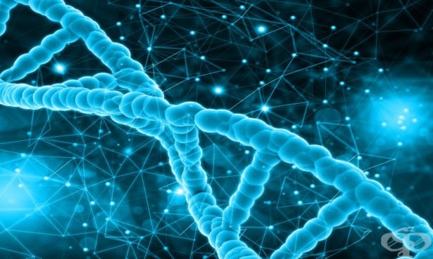 Краткотрайният стрес причинява увреждане на ДНК - изображение