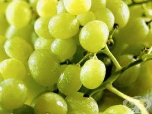 Диета с грозде за 4 дни - изображение