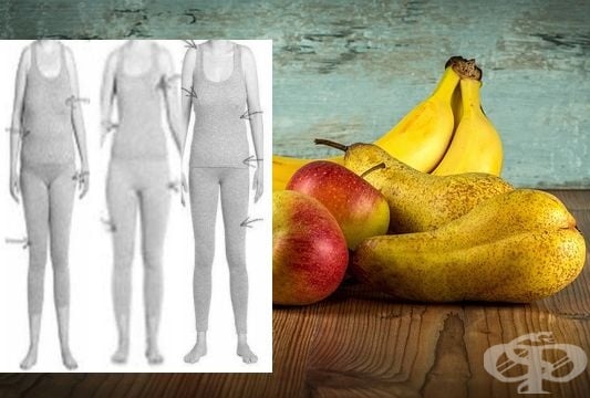 Хранене при жените според фигурата - изображение