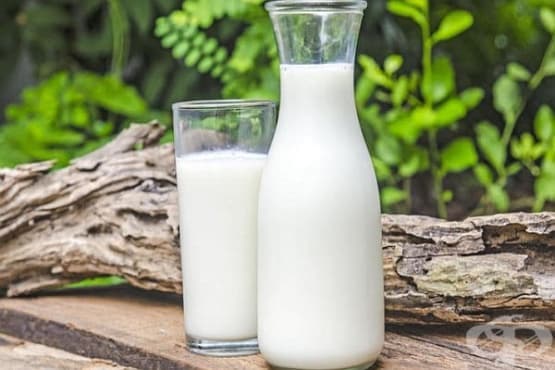 Прясното мляко като средство за отслабване - изображение