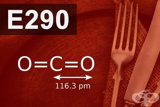 E290 -   (Carbon dioxide) - 