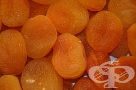 Сушени кайсии с костилки - изображение