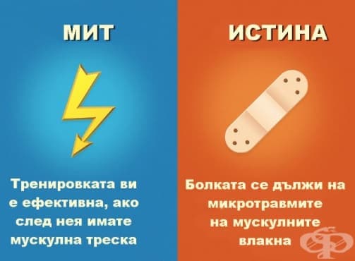 10 фитнес мита, в които трябва да спрете да вярвате - изображение