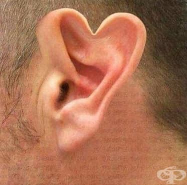 Хора споделят снимки на необичайни части от тялото си - изображение
