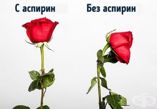 10 хитри трика от нашите баби, които все още работят - изображение