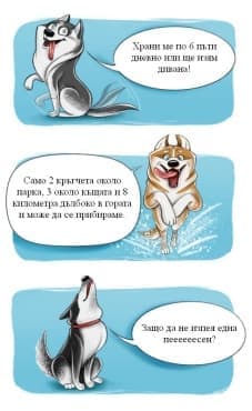 Кратко ръководство, което да ви направи експерт по кучешките породи - изображение