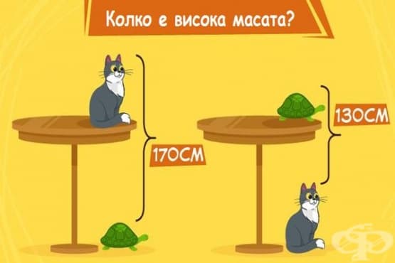 Можете ли да посочите колко е висока масата? - изображение