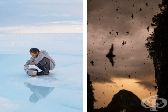 Най-добрите снимки на National Geographic за 2019 година - изображение