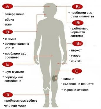 Ето как да разберете точно от кои витамини се нуждае вашият организъм - изображение
