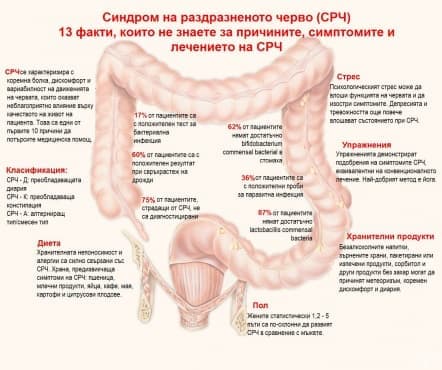 13 факти, които вероятно не знаете за синдрома на раздразненото черво (инфографика) - изображение