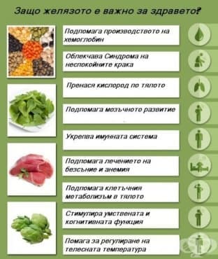 Защо желязото е толкова важно за нашето здраве? - изображение