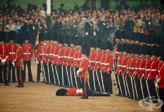 25 Непубликувани снимки от архивите на National Geographic - изображение