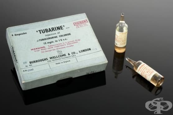 Ампули от 1880 година с лекарствения препарат "Tubarine" - изображение